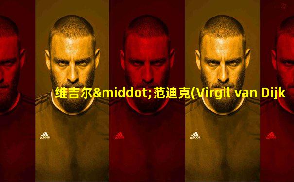 维吉尔·范迪克(Virgil van Dijk)